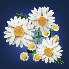 Load image into Gallery viewer, Botanicals Daisies