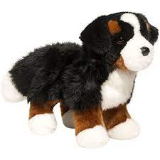 Bernese Mountain Dog