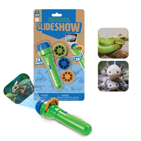 Reptile & Amphibians Slide Show