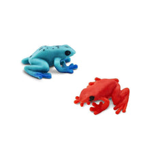 Load image into Gallery viewer, Mini Poison Dart Frogs