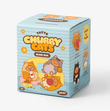 Load image into Gallery viewer, Tayto Chubby Cats Blind Box