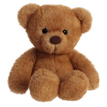 Load image into Gallery viewer, 9&quot; Softie Bear