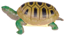 Load image into Gallery viewer, Turtle Squishimals