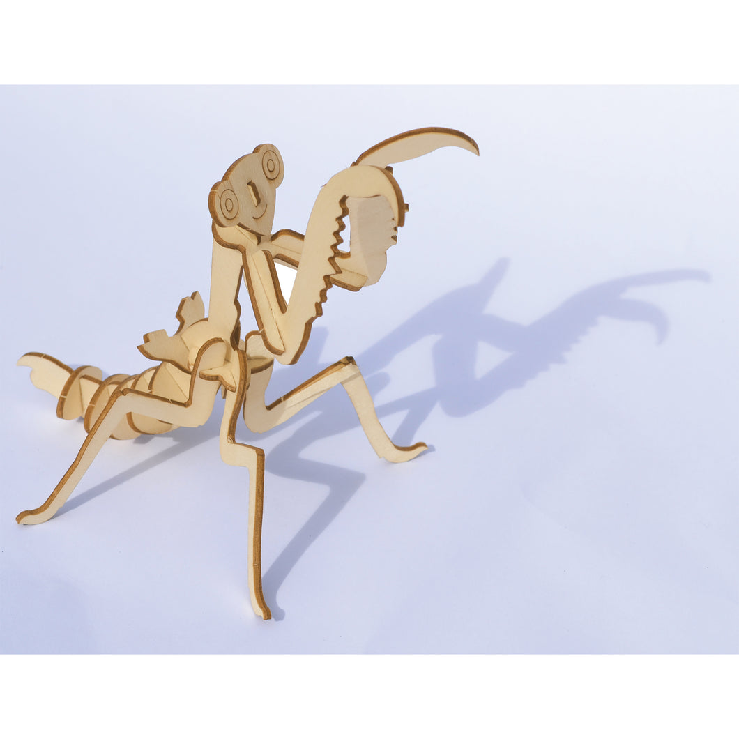 Insect Construction Kit