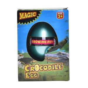 Alligator Or Crocodile Grow Egg