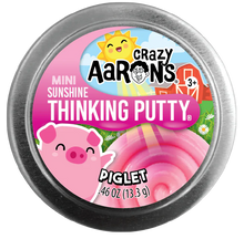 Load image into Gallery viewer, Mini Piglet Putty Tin