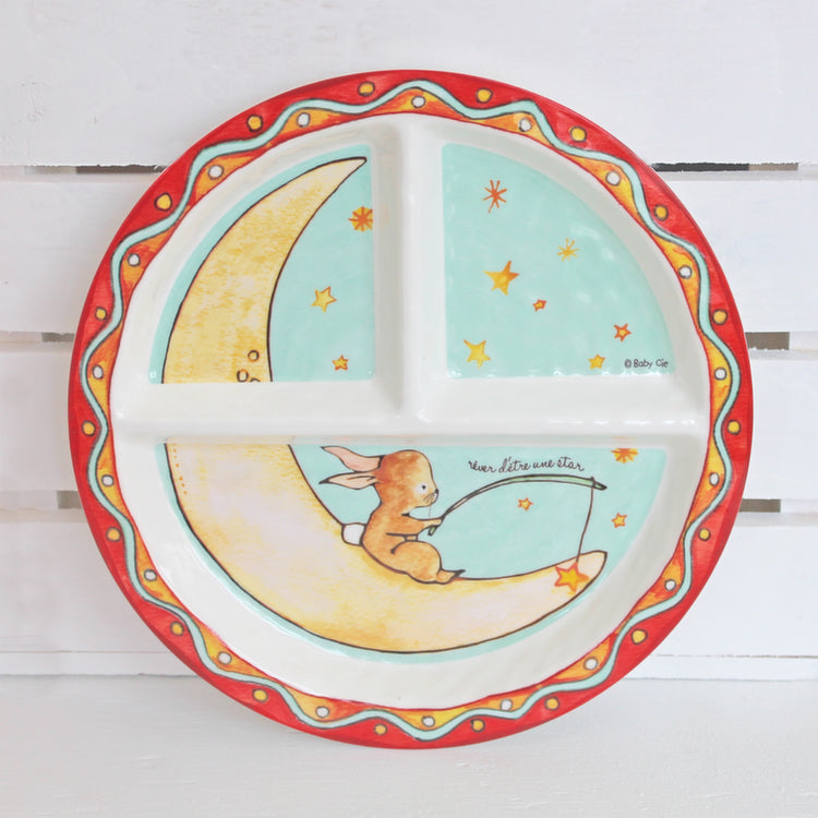 Rabbit Wish On A Star Section Plate