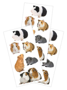 Guinea Pigs Stickers