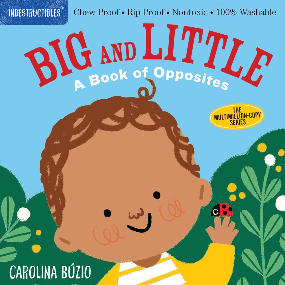 Big And Little A Book Of Opposites Indestructibles Book