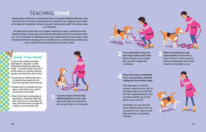 A Kid's Guide To Dogs