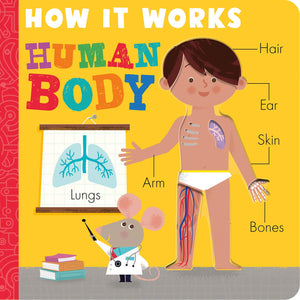 How It Works:  Human Body Board Book