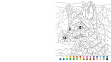 Load image into Gallery viewer, Animal Color By Numbers