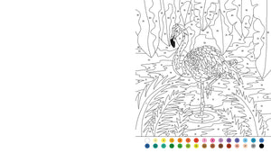 Animal Color By Numbers