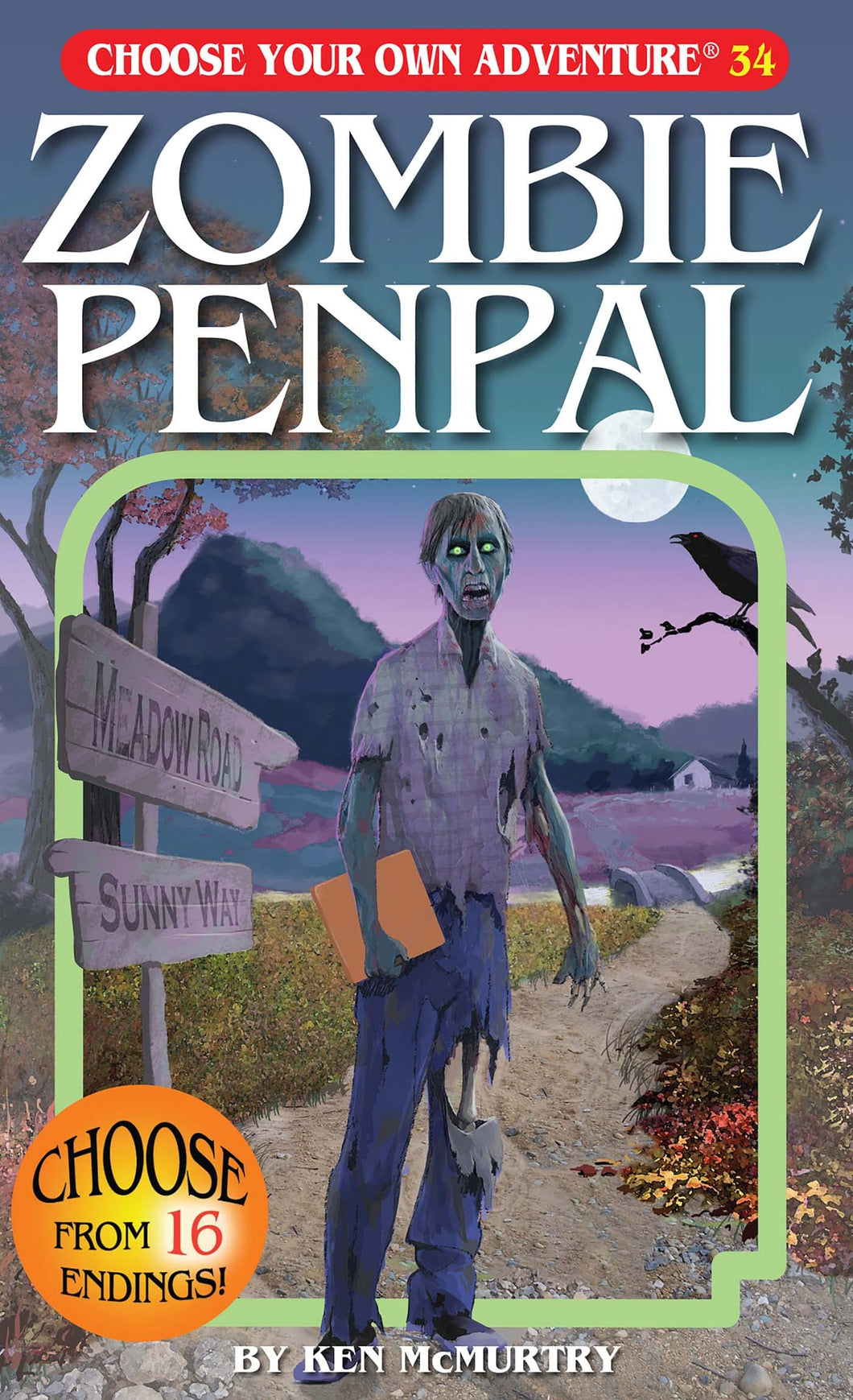 Choose Your Own Adventure Zombie Penpal