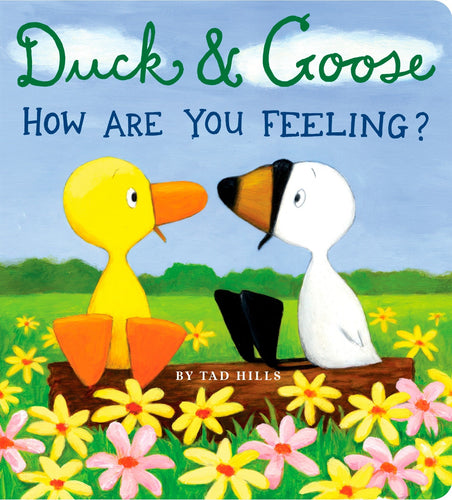Duck & Goose How Are You Feeling? Board Book