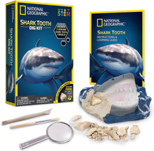 Load image into Gallery viewer, National Geographic Shark Tooth Dig Kit