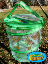 Load image into Gallery viewer, Butterfly Village