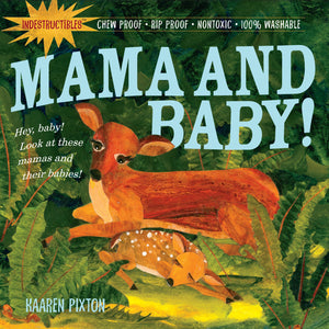 Mama and Baby Indestructibles Book