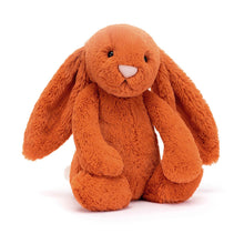 Load image into Gallery viewer, Medium Bashful Tangerine Bunny