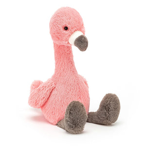 Small Bashful Flamingo