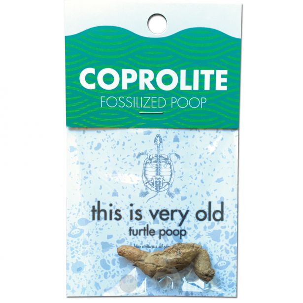 Coprolite Fossilized Poop