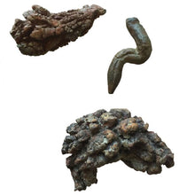 Load image into Gallery viewer, Coprolite Fossilized Poop