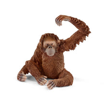 Load image into Gallery viewer, Orangutan Female