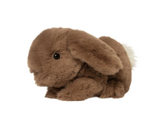 Load image into Gallery viewer, Basil Brown Bunny