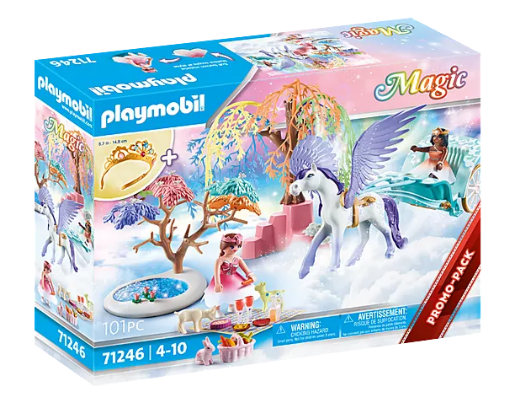 *Picnic With Pegasus Carriage