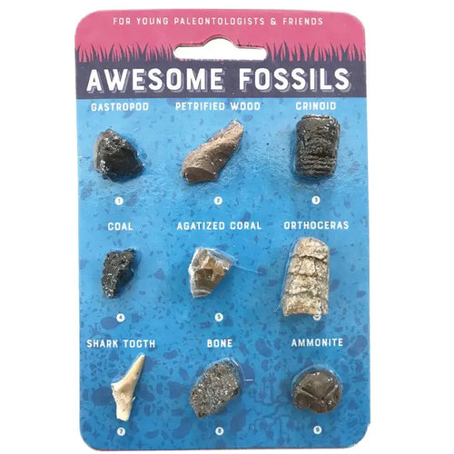 Awesome Fossil Card