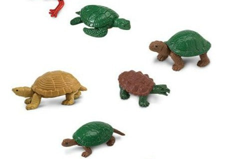 Small plastic turtles cheap