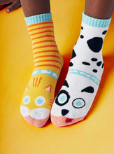 Load image into Gallery viewer, Cat &amp; Dog Socks