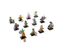 Load image into Gallery viewer, Classic Minifigures Series 24 Blind Bag