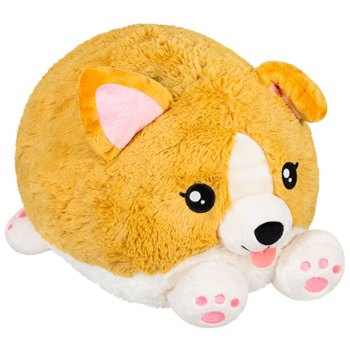 Squishable Baby Corgi 15