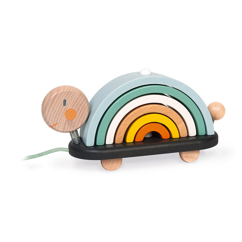 Sweet Cocoon Rainbow Turtle